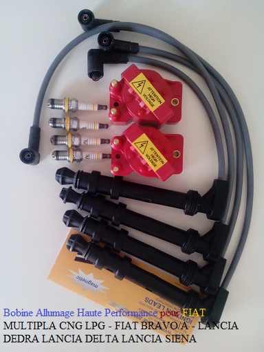 Bobine Allumage Haute Performance Fiat Multipla bravo delta dedra siena