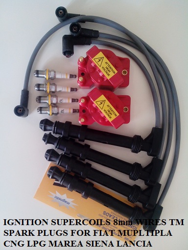 Ignition Supercoils 8mm wires TM plugs for Fiat Multipla Marea Bravoa Siena